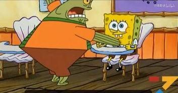 海绵宝宝爆料视频,揭秘海底世界的秘密生活