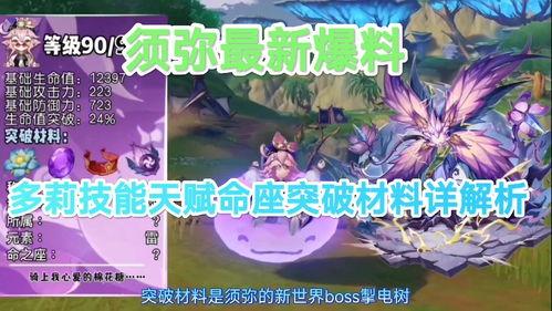 须弥技能爆料大全最新版,最新版技能解析与前瞻